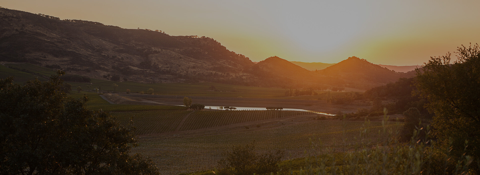 Antinori Napa Valley