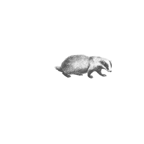 Osteria del Tasso Restaurant | Marchesi Antinori