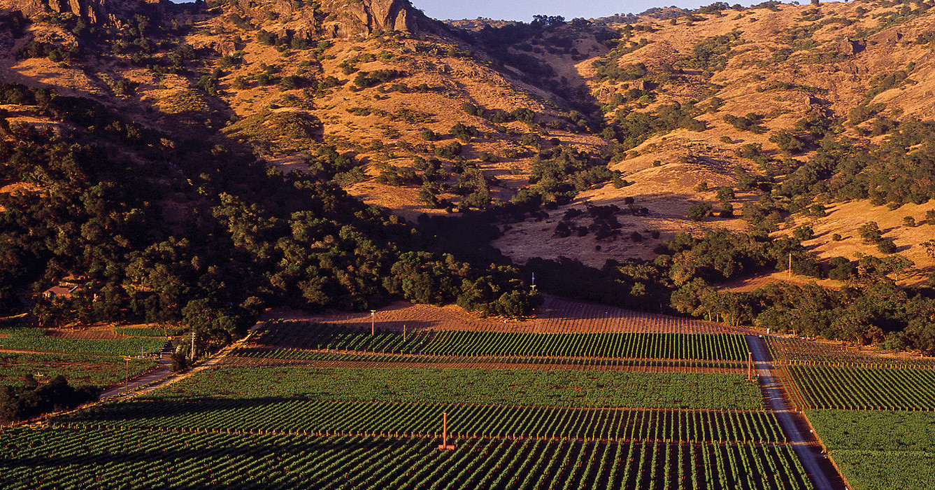 Stag’s Leap Wine Cellars