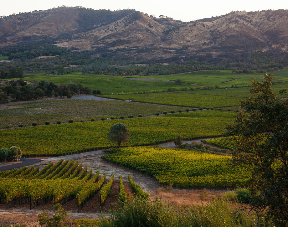 Antinori Napa Valley. 
Harmonie des toskanischen und kalifornischen Stils.